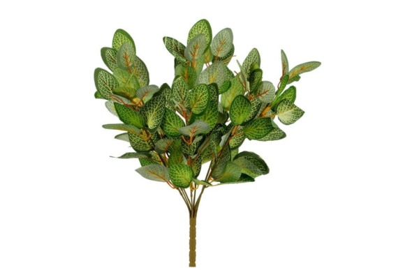 Yapay Fittonia Bitkisi