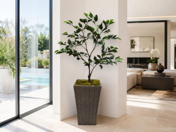 130 cm Yapay Ficus Benjamin Ağacı – Hasır Saksılı
