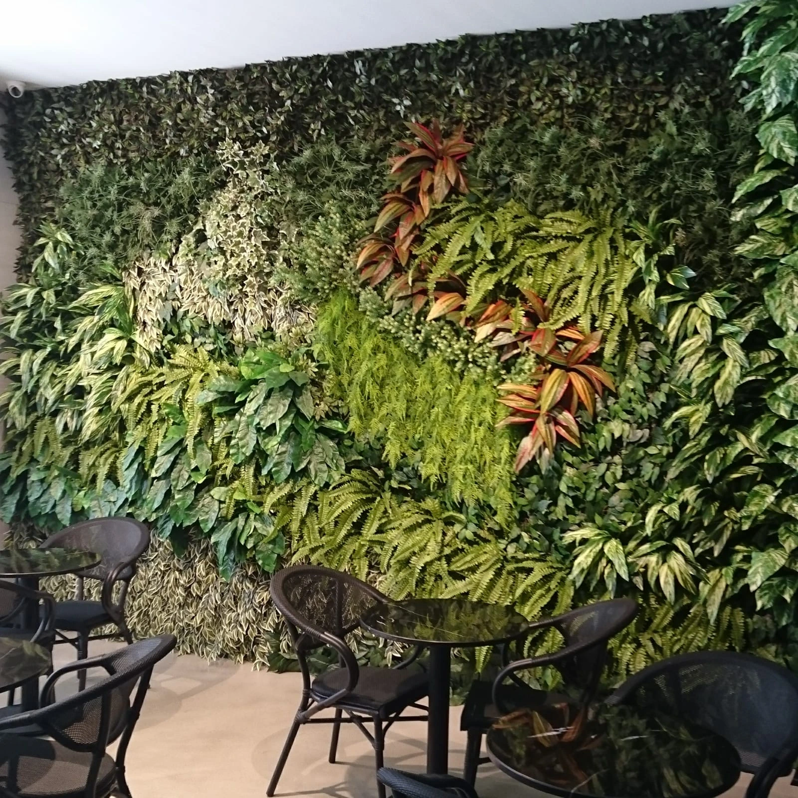 Restoranda dikey bahçe projesi