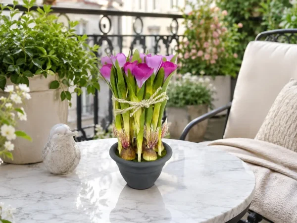 Saksılı Yapay Çiğdem Crocus Fuşya 30 cm
