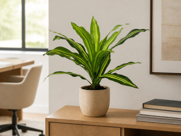 Yapay Bitki Dracena – 40 cm