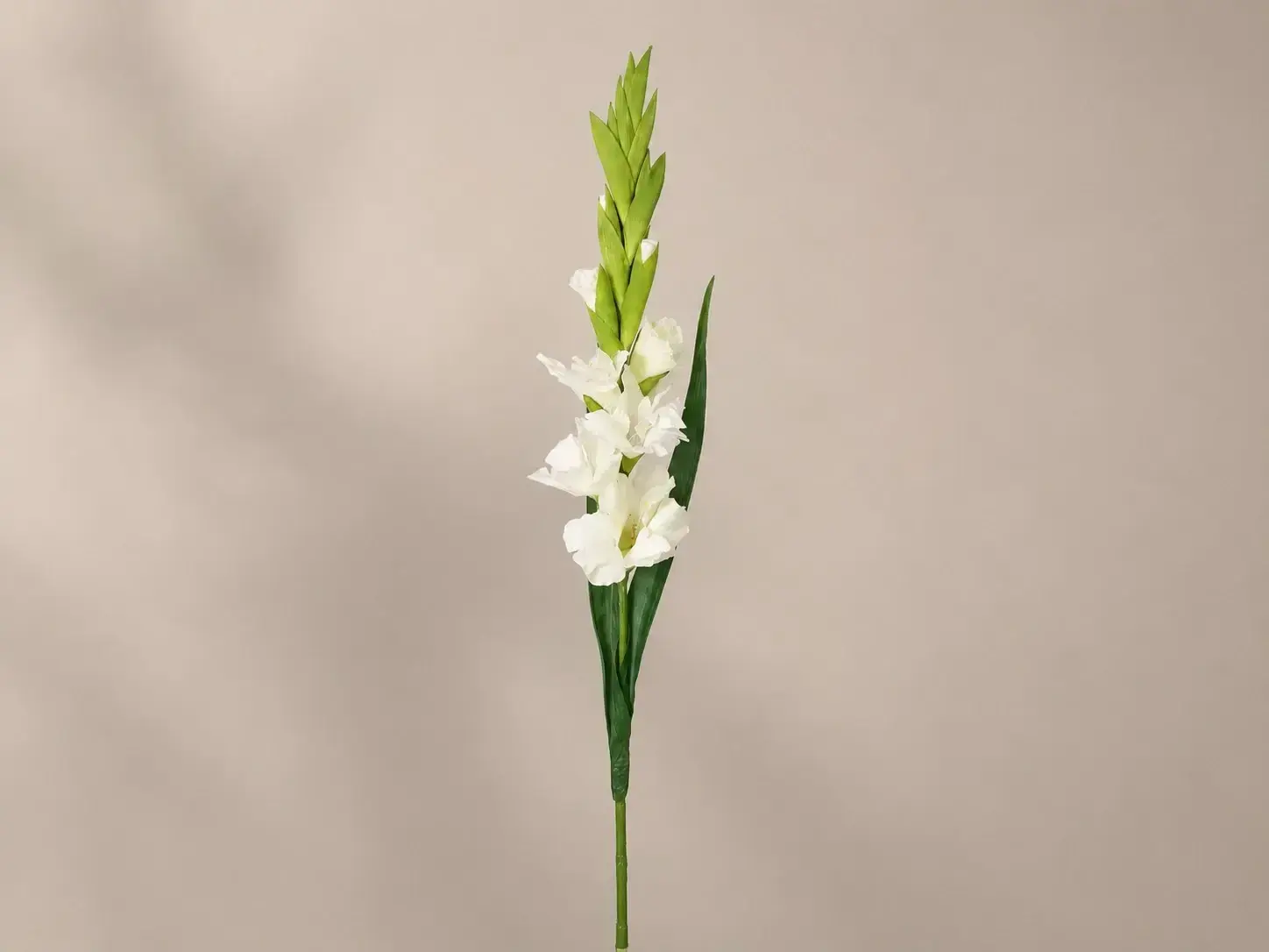 Yapay Glayöl 90 cm Beyaz Yapay Glayöl 90 cm Beyaz