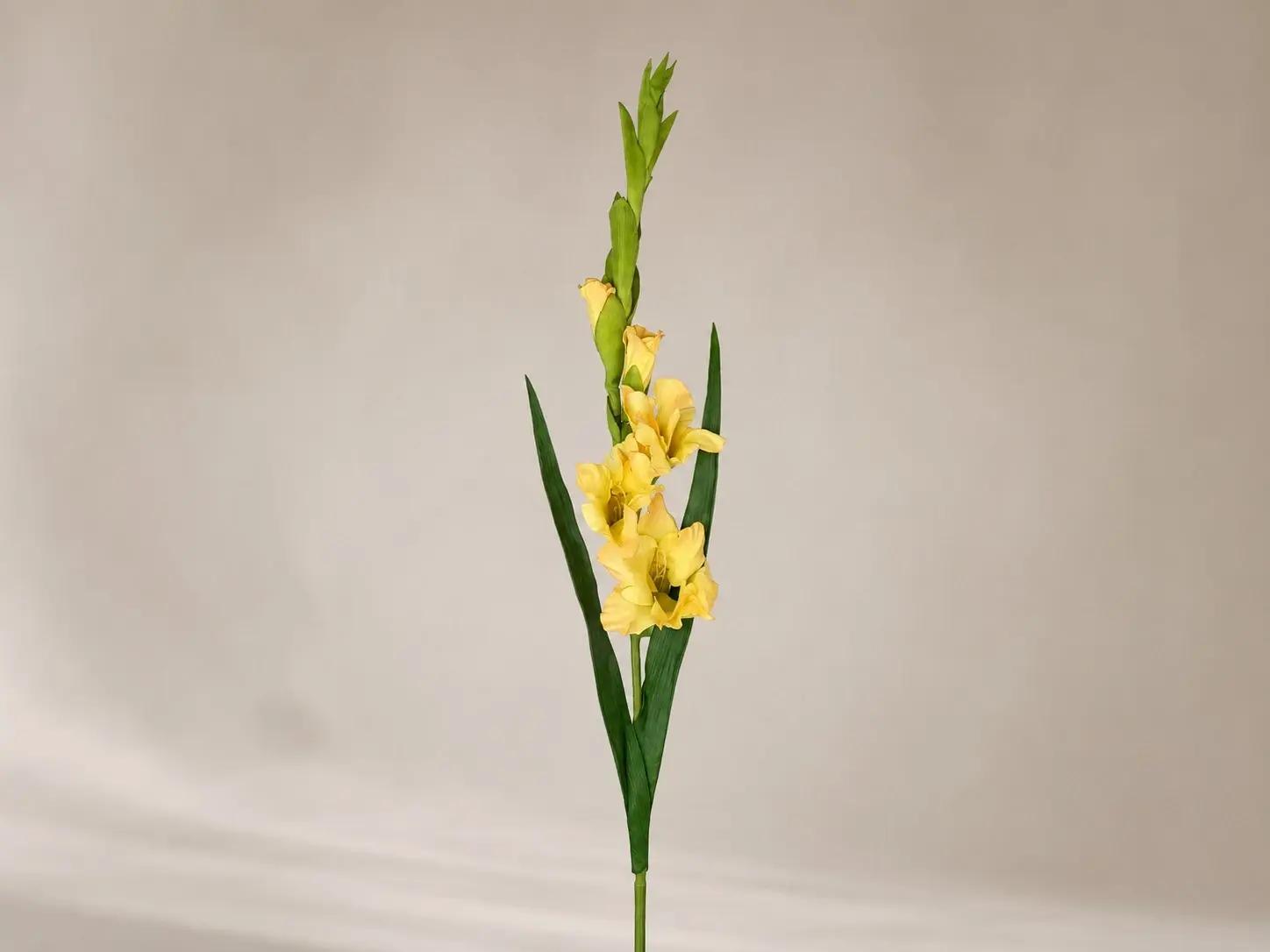 Yapay Glayöl 90 cm Sarı Yapay Glayöl 90 cm Sarı
